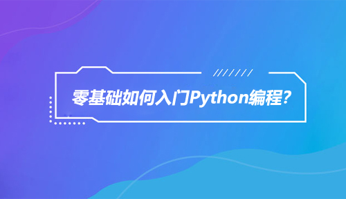 零基础如何入门Python编程?