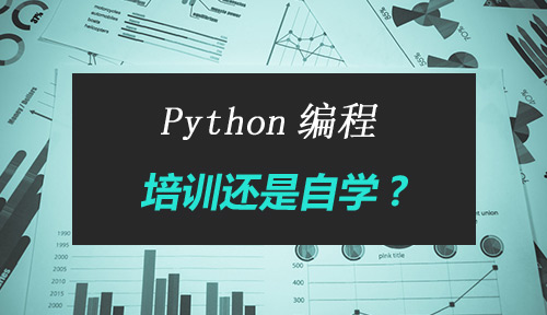 入门Python编程是培训还是自学好？