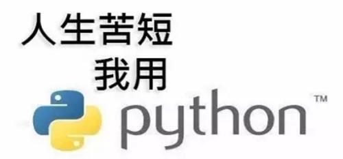 有人说使用python会降低程序员的编程能力，这是真的吗？