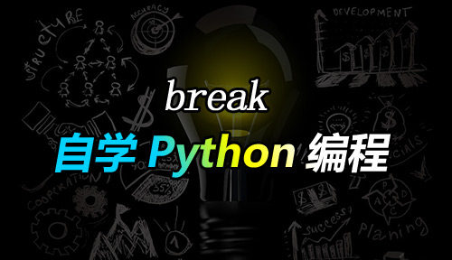 自学Python编程【第三十二节】break