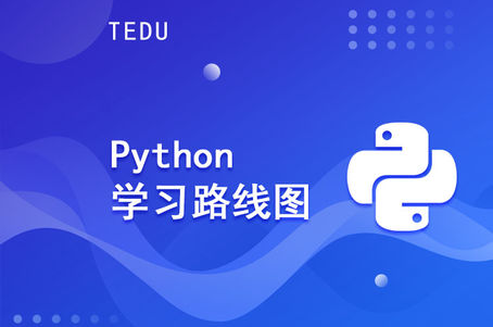 　小白学Python要怎么学？